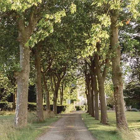 Chateau Saint-joseph, Grand 4 Etoiles En Pleine Nature Апартаменты Mazerolles-du-Razes