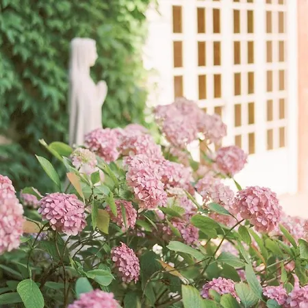Chateau Saint-joseph, Grand 4 Etoiles En Pleine Nature * Mazerolles-du-Razes