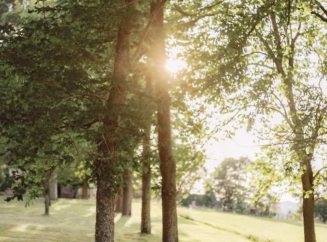 Apartment Chateau Saint-joseph, Grand 4 Etoiles En Pleine Nature