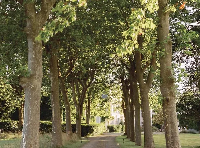 Chateau Saint-joseph, Grand 4 Etoiles En Pleine Nature Apartment Mazerolles-du-Razes