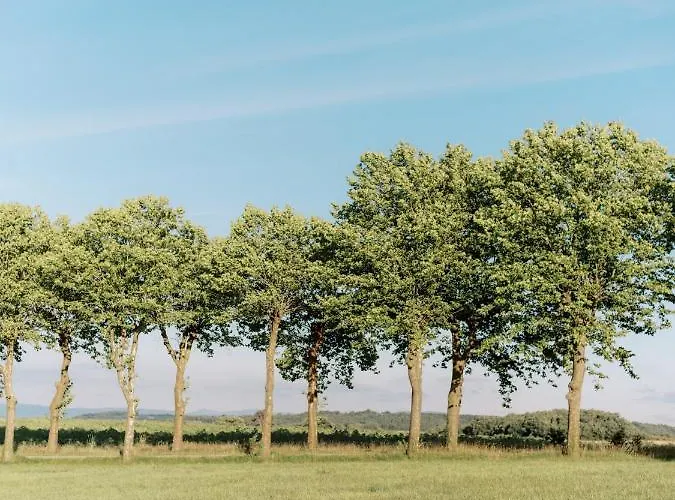Apartment Chateau Saint-joseph, Grand 4 Etoiles En Pleine Nature