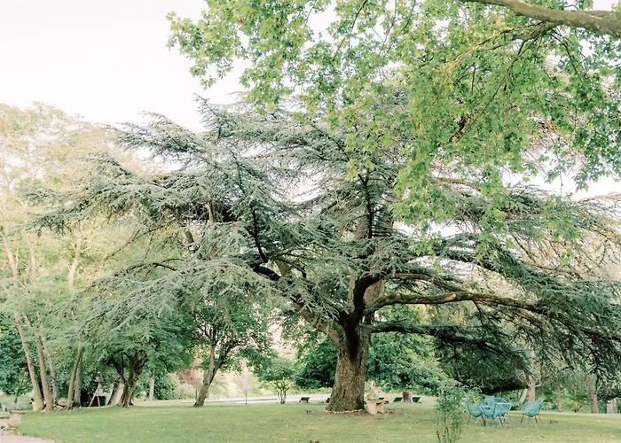 Chateau Saint-joseph, Grand 4 Etoiles En Pleine Nature *